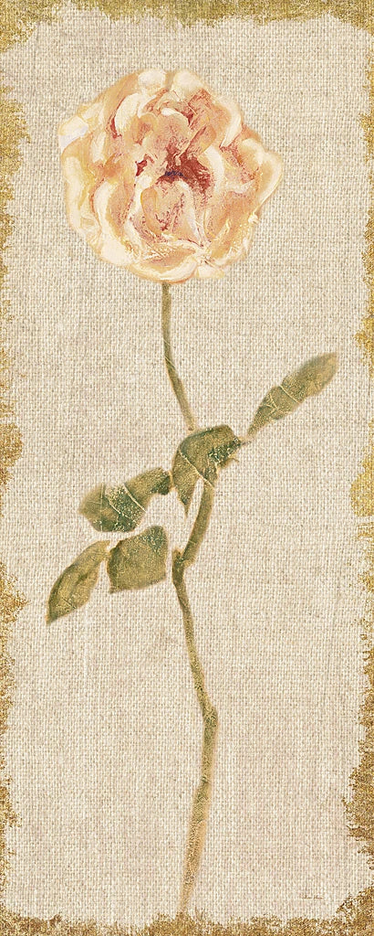 Pale Rose Panel on White Vintage v2 by Cheri Blum