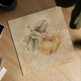 Pears Square by Cheri Blum. Shown as a detailed flat fine art print, highlighting archival giclee quality. Available as an archival giclee rolled canvas, fine art paper, or poster print. SKU 7023a.