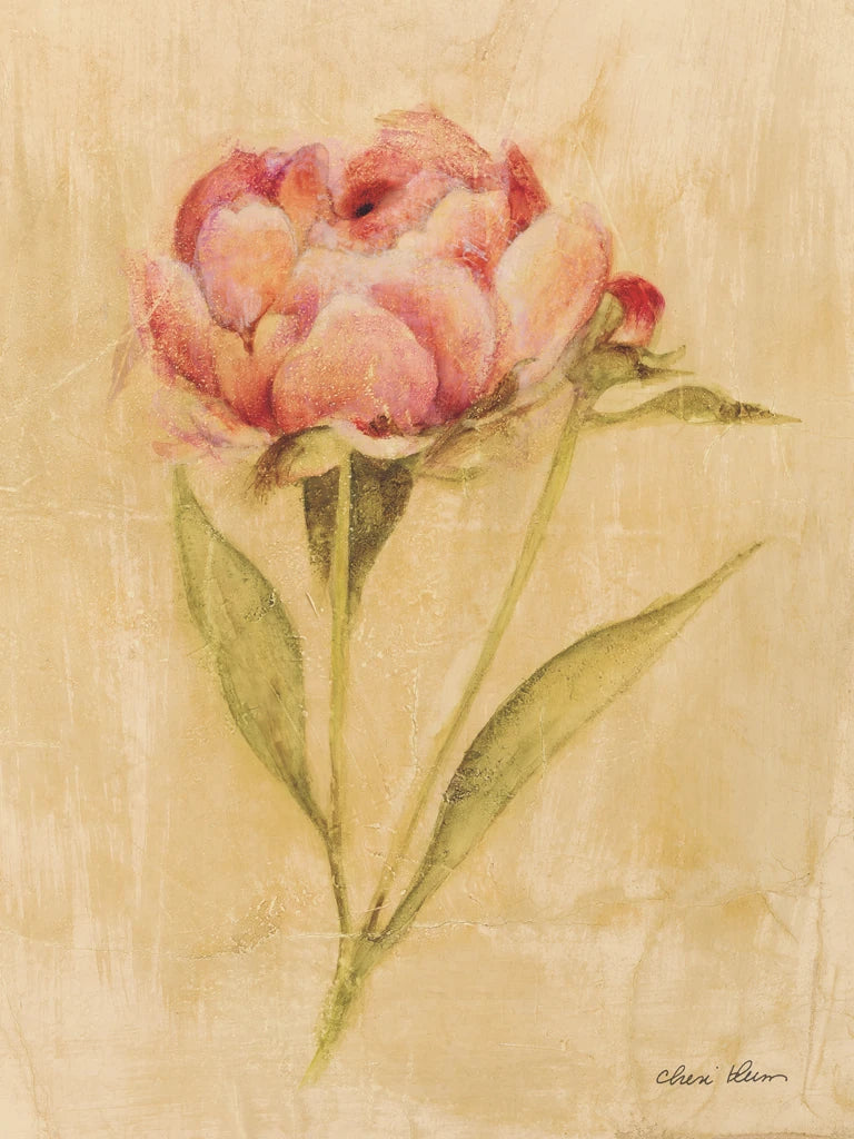 Peony II by Cheri Blum