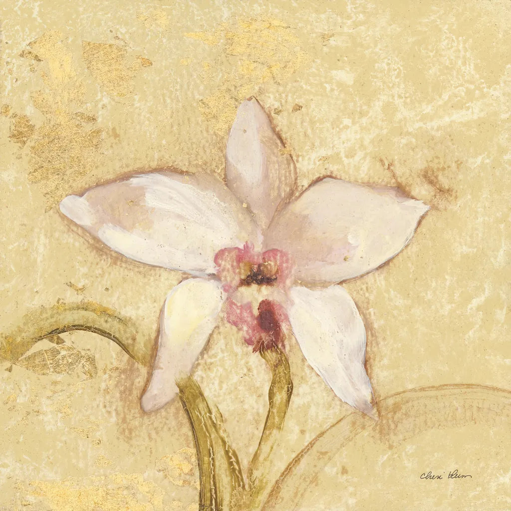 Petite Orchid I by Cheri Blum. SKU 7186a. Archival Giclee Fine art print for wall decor.