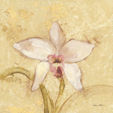 Petite Orchid I by Cheri Blum. SKU 7186a. Archival Giclee Fine art print for wall decor.