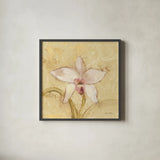 Petite Orchid I by Cheri Blum. Shown in a sleek black glass frame for a contemporary gallery look. Available as an archival giclee rolled canvas, fine art paper, or poster print. SKU 7186a.