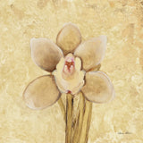Petite Orchid II by Cheri Blum. SKU 7187a. Archival Giclee Fine art print for wall decor.