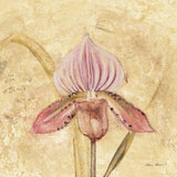 Petite Orchid III by Cheri Blum. SKU 7188a. Archival Giclee Fine art print for wall decor.