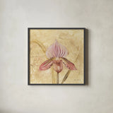 Petite Orchid III by Cheri Blum. Shown in a sleek black glass frame for a contemporary gallery look. Available as an archival giclee rolled canvas, fine art paper, or poster print. SKU 7188a.