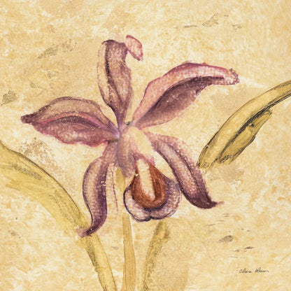 Petite Orchid IV by Cheri Blum. SKU 7189a. Archival Giclee Fine art print for wall decor.