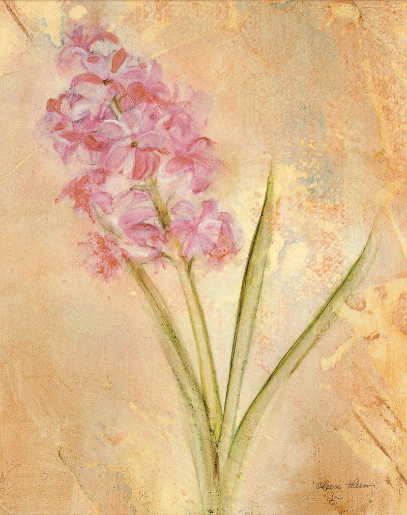 Pink Hyacinth by Cheri Blum