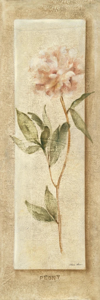 Pink Peony Panel by Cheri Blum