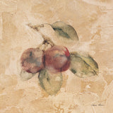 Plums Square by Cheri Blum. SKU 7025a. Archival Giclee Fine art print for wall decor.