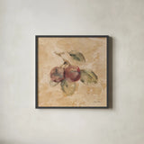 Plums Square by Cheri Blum. Shown in a sleek black glass frame for a contemporary gallery look. Available as an archival giclee rolled canvas, fine art paper, or poster print. SKU 7025a.