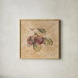 Plums Square by Cheri Blum. Shown in a natural wood glass frame for a timeless modern aesthetic. Available as an archival giclee rolled canvas, fine art paper, or poster print. SKU 7025a.