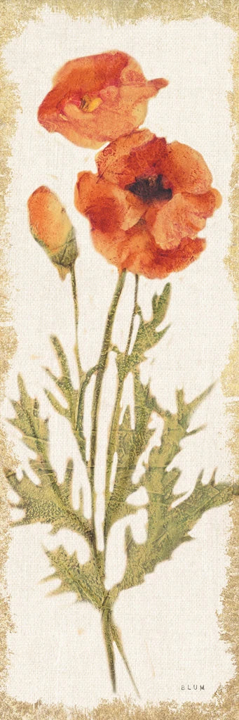 Poppy Panel Light by Cheri Blum