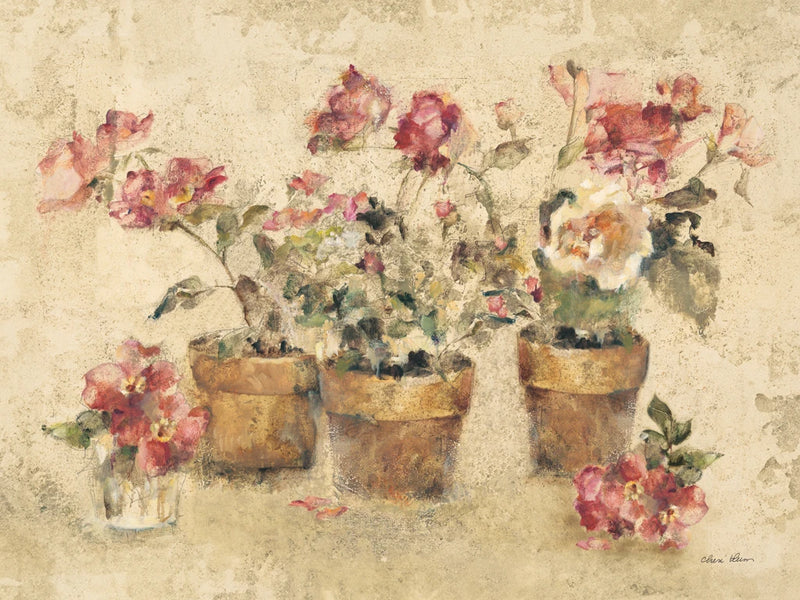 Potted Roses II by Cheri Blum