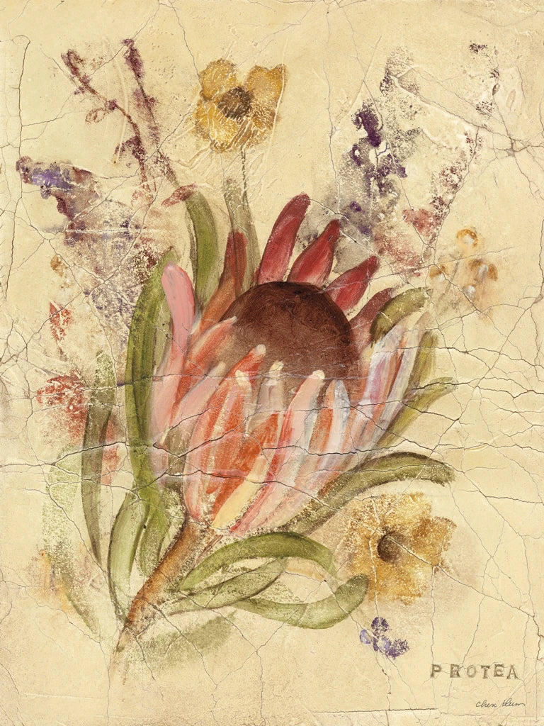 Protea by Cheri Blum