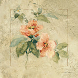 Provence Rose I by Cheri Blum. SKU 8219a. Archival Giclee Fine art print for wall decor.