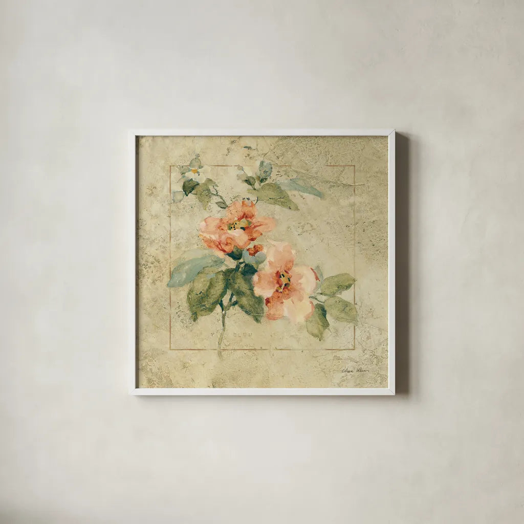 Provence Rose I by Cheri Blum. Shown in a crisp white glass frame for a clean and minimalist style. Available as an archival giclee rolled canvas, fine art paper, or poster print. SKU 8219a.