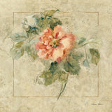 Provence Rose II by Cheri Blum. SKU 8220a. Archival Giclee Fine art print for wall decor.