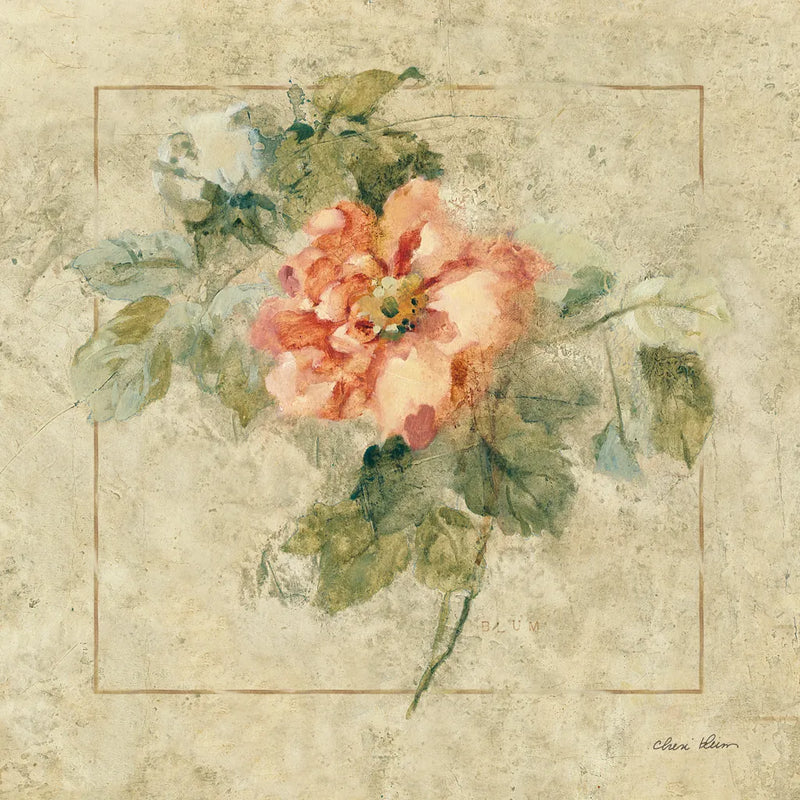Provence Rose II by Cheri Blum. SKU 8220a. Archival Giclee Fine art print for wall decor.