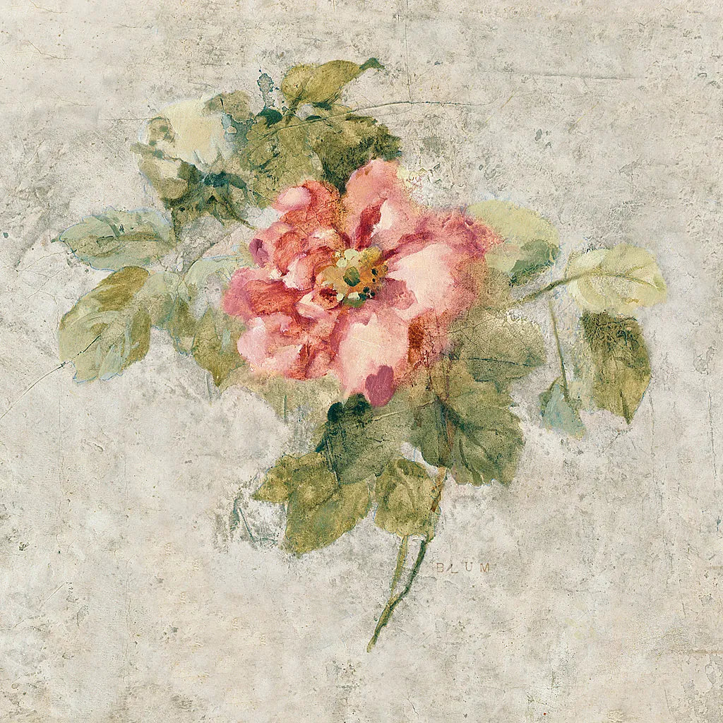 Provence Rose II Red and Neutral by Cheri Blum. SKU 24463a. Archival Giclee Fine art print for wall decor.