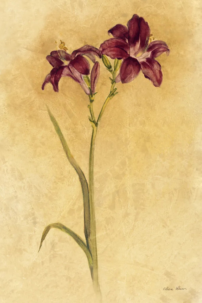 Purple Day Lily by Cheri Blum. SKU 7538h. Archival Giclee Fine art print for wall decor.