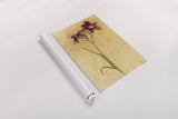 Purple Day Lily by Cheri Blum. shown as a rolled paper print. Available as archival giclee rolled canvas, fine art paper, or poster print. SKU 7538h.