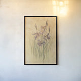 Purple Dream Irises by Cheri Blum. shown as a paper print in a black flame. Available as a archival giclee rolled canvas, fine art paper, or poster print. SKU 7045h.