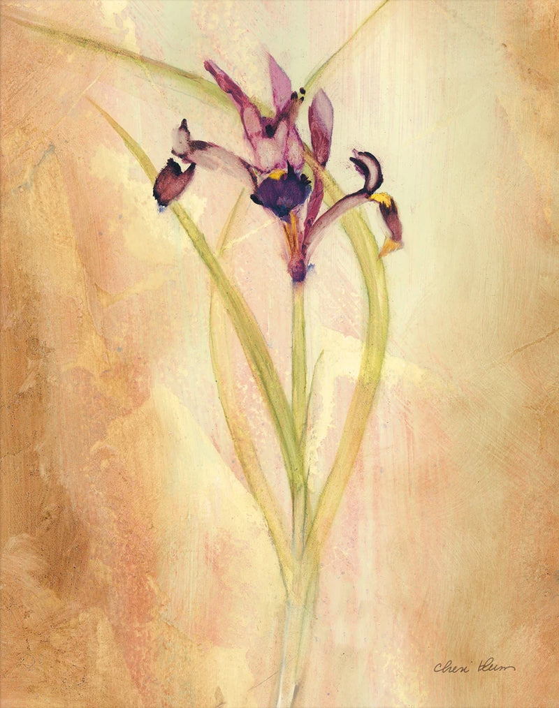 Purple Iris by Cheri Blum