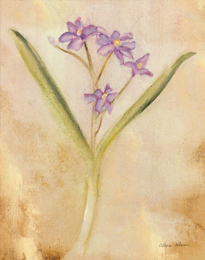 Purple Scilla by Cheri Blum