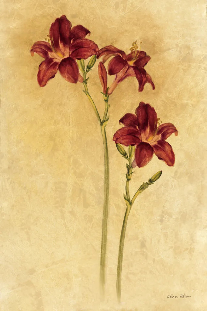 Red Day Lily by Cheri Blum. SKU 7539h. Archival Giclee Fine art print for wall decor.