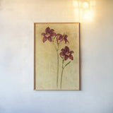 Red Day Lily by Cheri Blum. shown as a paper print in a natural frame. Available as a archival giclee rolled canvas, fine art paper, or poster print. SKU 7539h.