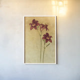 Red Day Lily by Cheri Blum. shown as a paper print in a white frame. Available as a archival giclee rolled canvas, fine art paper, or poster print. SKU 7539h.