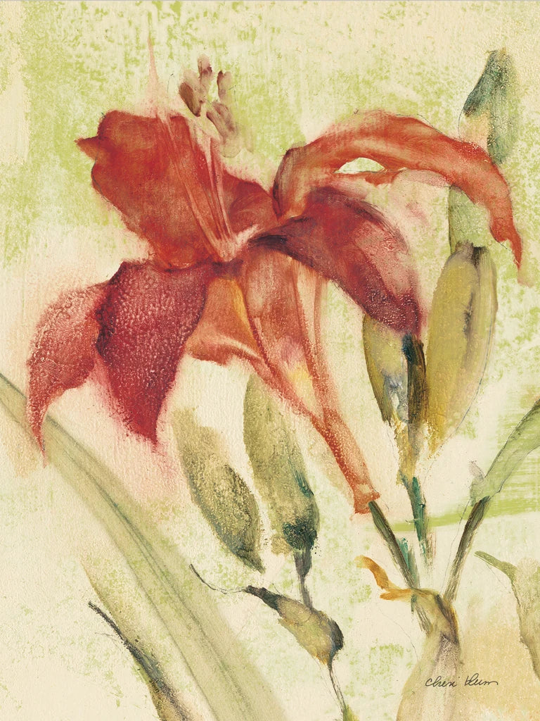 Red Day Lily by Cheri Blum