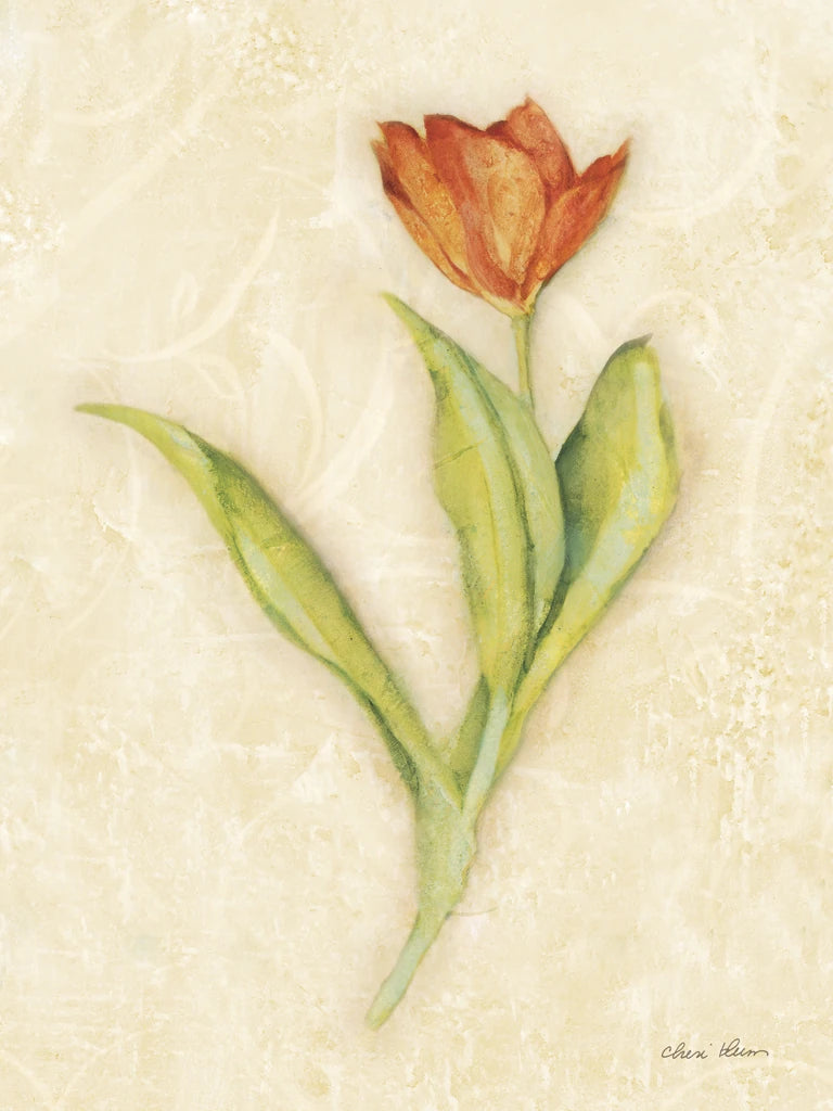 Red Tulip Stem by Cheri Blum