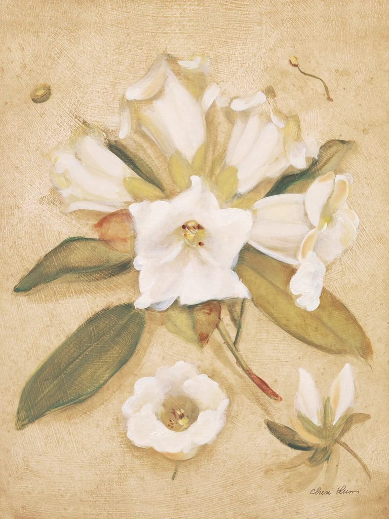 Rhododendron by Cheri Blum