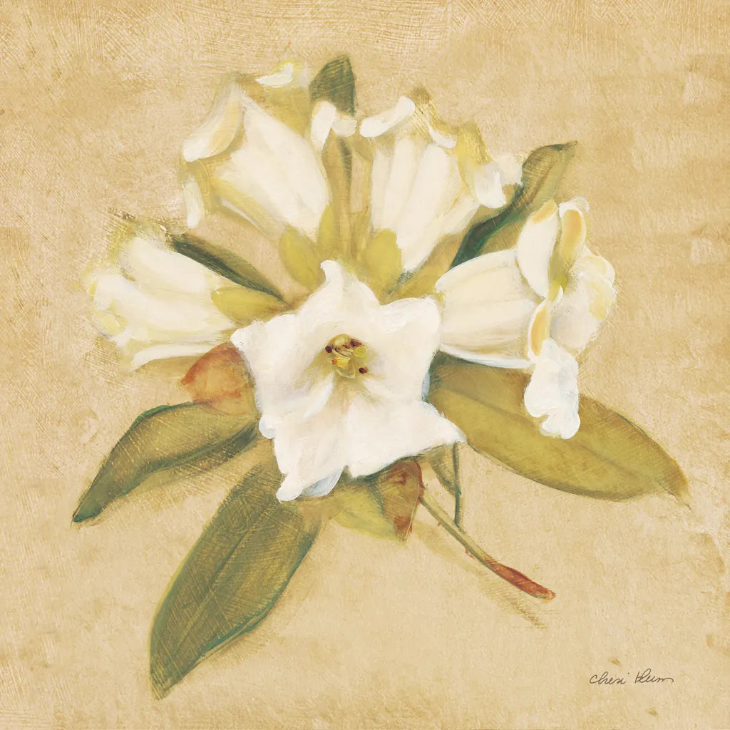 Rhododendron Crop by Cheri Blum. SKU 7112a. Archival Giclee Fine art print for wall decor.