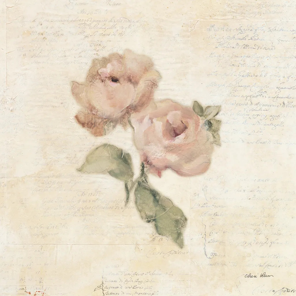 Rose on Script I by Cheri Blum. SKU 88648a. Archival Giclee Fine art print for wall decor.