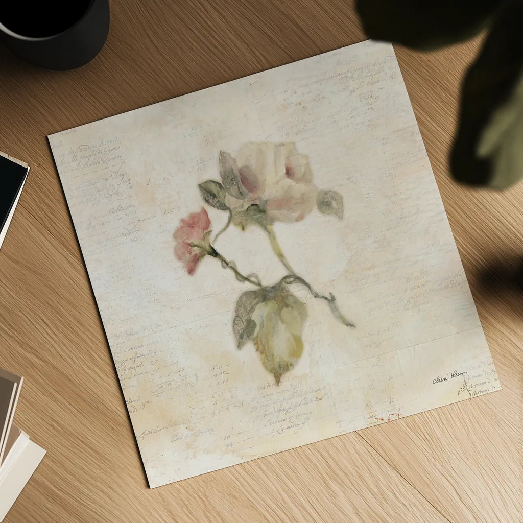 Rose on Script II by Cheri Blum. Shown as a detailed flat fine art print, highlighting archival giclee quality. Available as an archival giclee rolled canvas, fine art paper, or poster print. SKU 88649a.