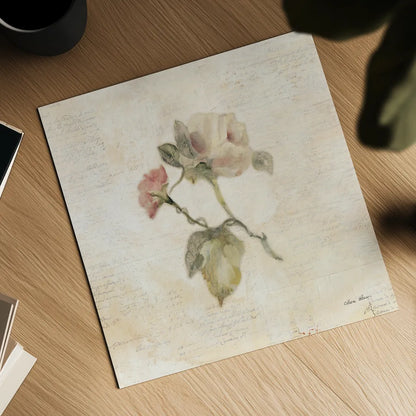 Rose on Script II by Cheri Blum. Shown as a detailed flat fine art print, highlighting archival giclee quality. Available as an archival giclee rolled canvas, fine art paper, or poster print. SKU 88649a.