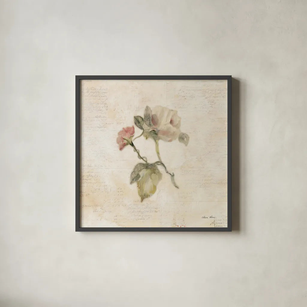 Rose on Script II by Cheri Blum. Shown in a sleek black glass frame for a contemporary gallery look. Available as an archival giclee rolled canvas, fine art paper, or poster print. SKU 88649a.