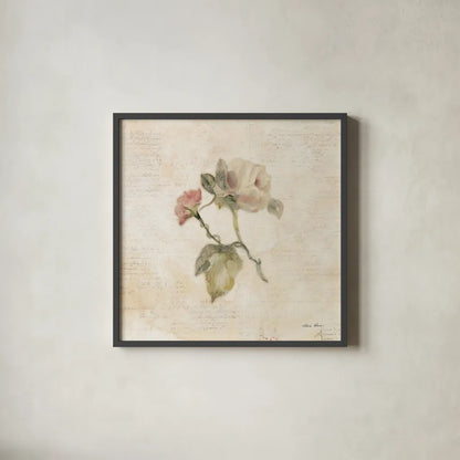 Rose on Script II by Cheri Blum. Shown in a sleek black glass frame for a contemporary gallery look. Available as an archival giclee rolled canvas, fine art paper, or poster print. SKU 88649a.