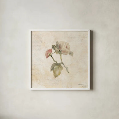 Rose on Script II by Cheri Blum. Shown in a crisp white glass frame for a clean and minimalist style. Available as an archival giclee rolled canvas, fine art paper, or poster print. SKU 88649a.