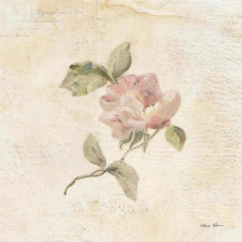 Rose on Script III by Cheri Blum. SKU 88650a. Archival Giclee Fine art print for wall decor.