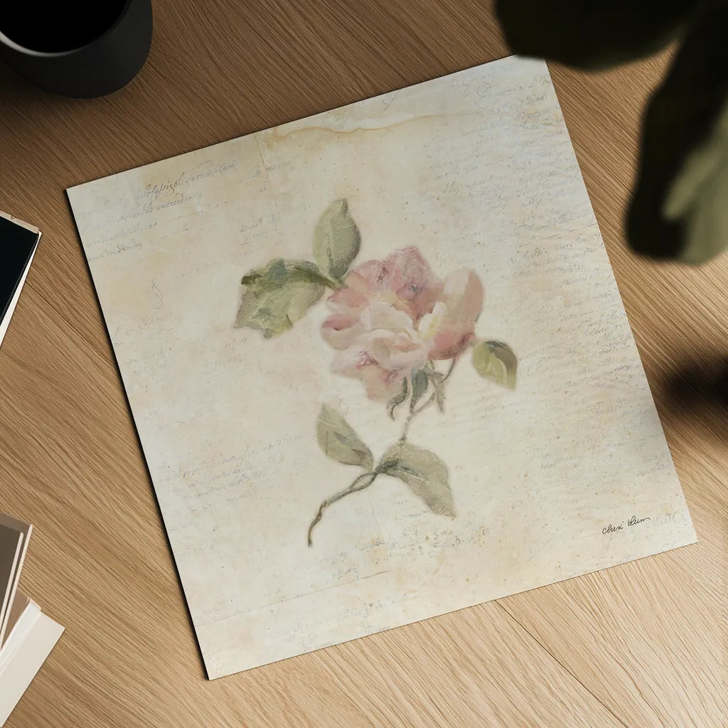 Rose on Script III by Cheri Blum. Shown as a detailed flat fine art print, highlighting archival giclee quality. Available as an archival giclee rolled canvas, fine art paper, or poster print. SKU 88650a.