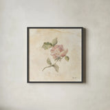 Rose on Script III by Cheri Blum. Shown in a sleek black glass frame for a contemporary gallery look. Available as an archival giclee rolled canvas, fine art paper, or poster print. SKU 88650a.