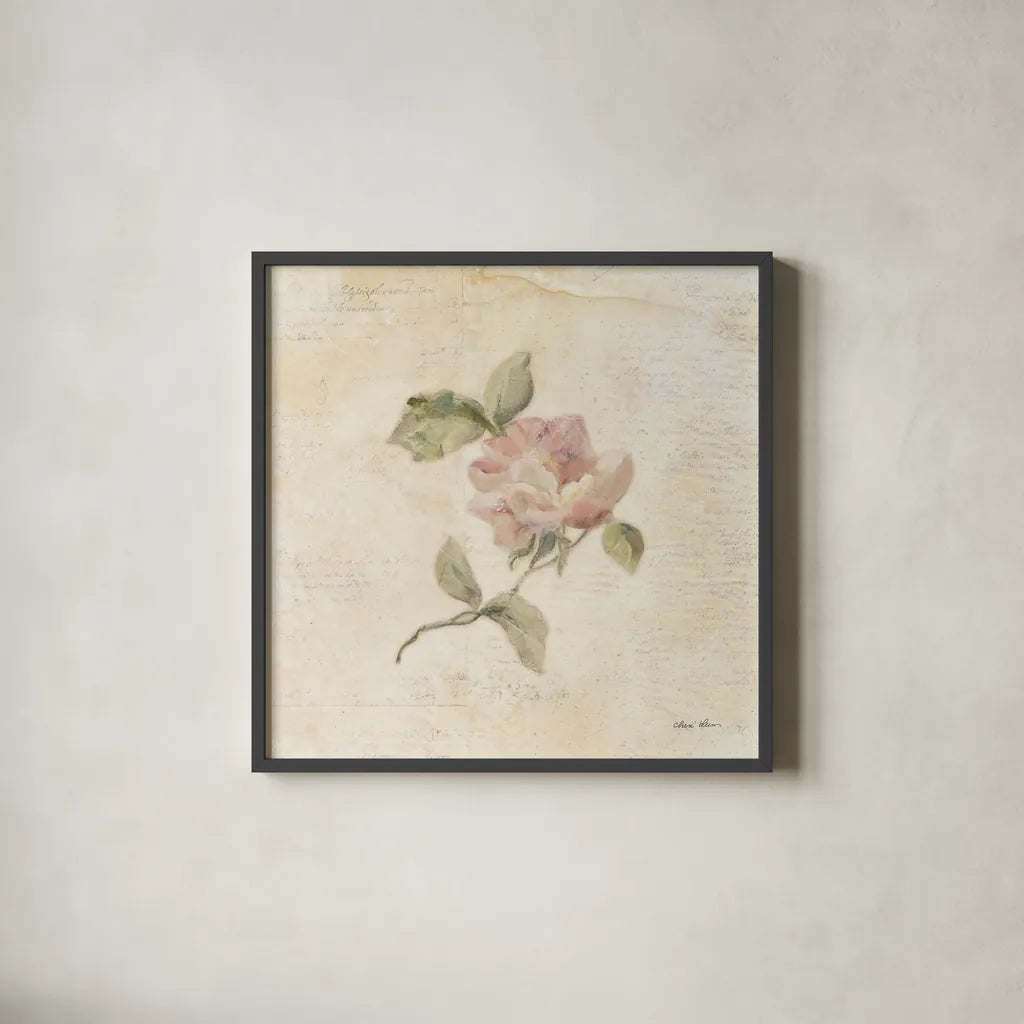 Rose on Script III by Cheri Blum. Shown in a sleek black glass frame for a contemporary gallery look. Available as an archival giclee rolled canvas, fine art paper, or poster print. SKU 88650a.