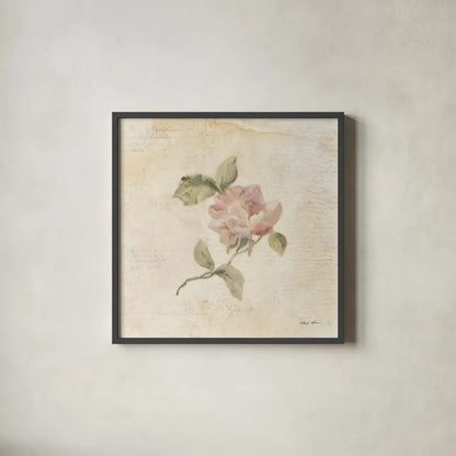 Rose on Script III by Cheri Blum. Shown in a sleek black glass frame for a contemporary gallery look. Available as an archival giclee rolled canvas, fine art paper, or poster print. SKU 88650a.