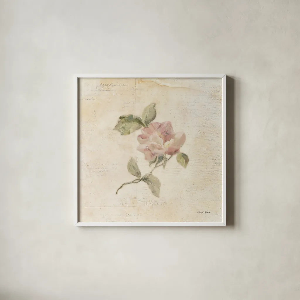 Rose on Script III by Cheri Blum. Shown in a crisp white glass frame for a clean and minimalist style. Available as an archival giclee rolled canvas, fine art paper, or poster print. SKU 88650a.