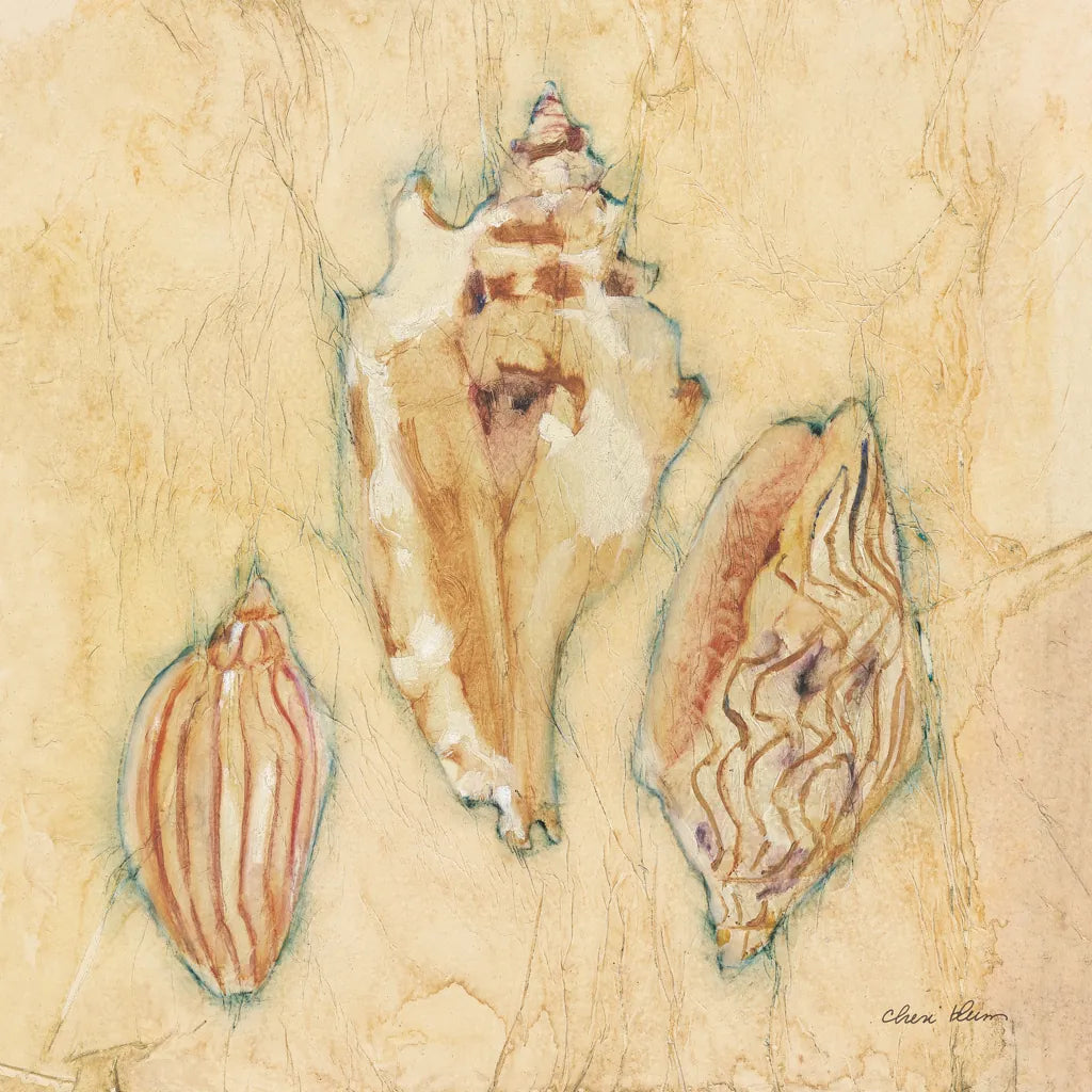 Shells I by Cheri Blum. SKU 7248a. Archival Giclee Fine art print for wall decor.