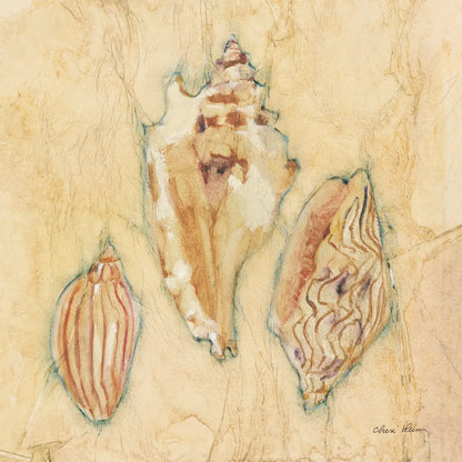 Shells I by Cheri Blum. SKU 7248a. Archival Giclee Fine art print for wall decor.