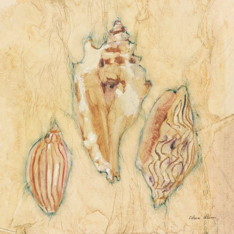 Shells I by Cheri Blum. SKU 7248a. Archival Giclee Fine art print for wall decor.